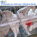 Good quality BT factory A-120 chicken coops for sale (Welcome to vist my factory)